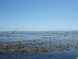 Monterey Bay 010